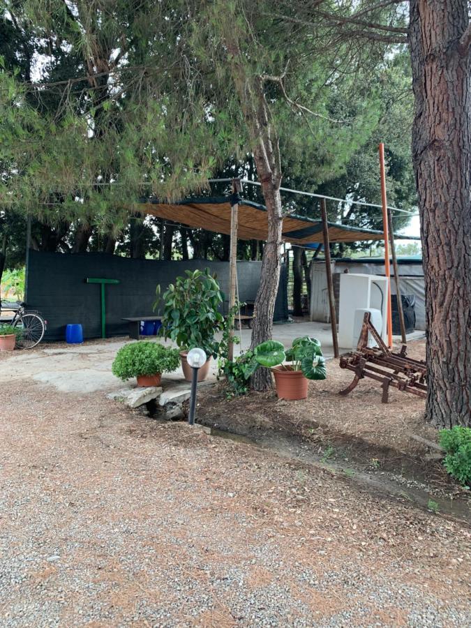 B&B Il Pomo d'oro - DAILY HYGIENIZED Assemini Esterno foto